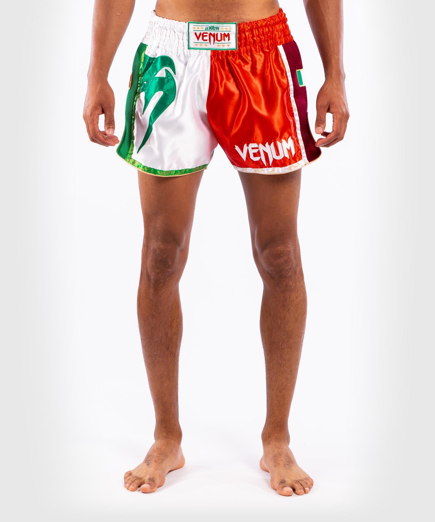 VNEUM MT FLAGS MUAY THAI SHORTS-ITALIAN FLAG