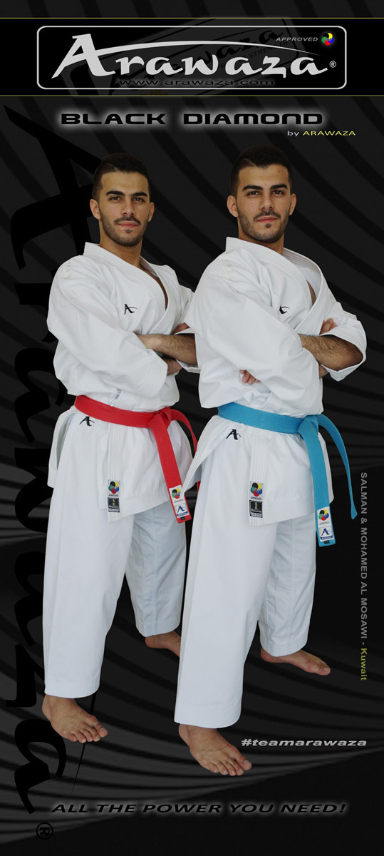 Sport bag Arawaza Everyday Backpack | Karate Shop