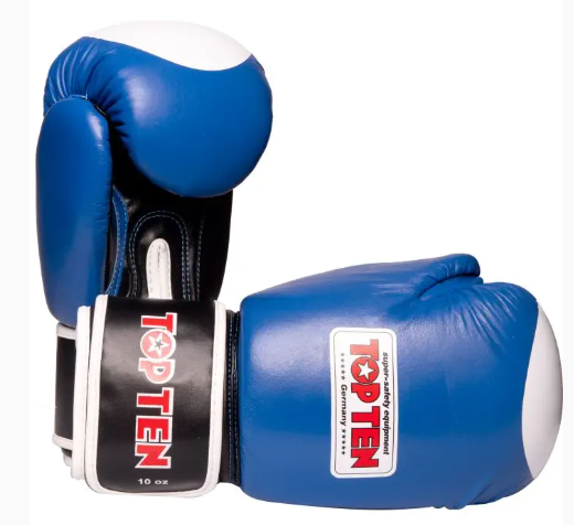 TOP TEN BOXING GLOVES 