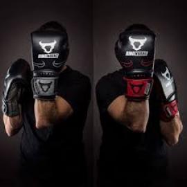 RINGHORNS DESTROYER BOXING GLOVES - LEATHER