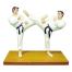 TKD FIGURE FIGHTING