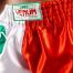 VNEUM MT FLAGS MUAY THAI SHORTS-ITALIAN FLAG