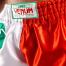 VNEUM MT FLAGS MUAY THAI SHORTS-ITALIAN FLAG