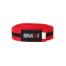 SMAI MARTIAL ARTS BELT - BLACK STRIPE