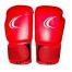 CHAMPION REHANA BOXING GLOVES