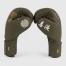 VENUM SERPENTI BOXING GLOVES